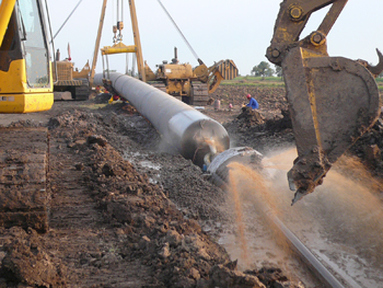 專業(yè)設(shè)計定制生產(chǎn)